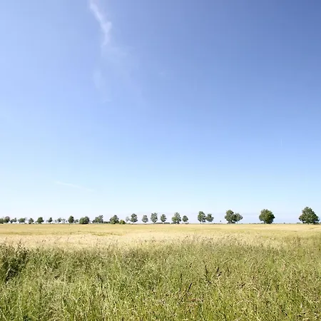 Strandnahes Und Gemuetliches Am Waldrand - Waldidyll