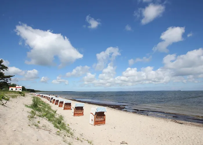 Strandnahes Und Gemütliches Am Waldrand - Waldidyll Ferienhaus Glowe