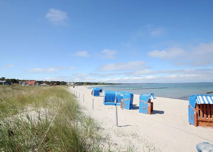Strandnahes Und Gemütliches Am Waldrand - Waldidyll *