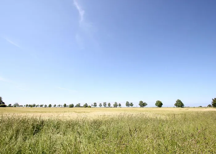 Strandnahes Und Gemütliches Am Waldrand - Waldidyll